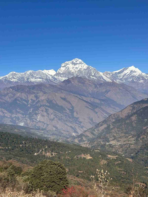 Female Solo Trekking in Nepal: Safety, Best Treks, & What to Expect