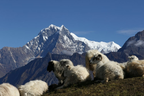 Best Time for Langtang Valley Trek