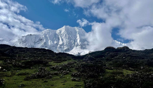 Best Beginner Treks in Nepal: Easy Himalayan Treks for First-Time Trekkers