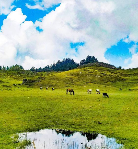 Why khaptad National Park famous for?
