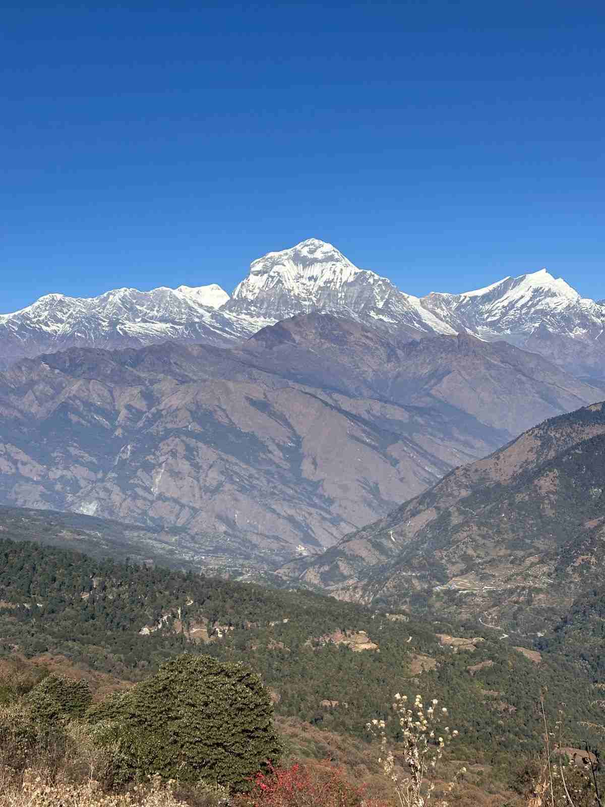 Female Solo Trekking in Nepal: Safety, Best Treks, & What to Expect